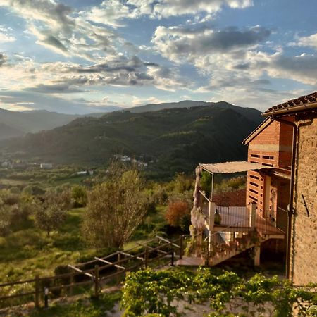 Agriturismo La Fontaccia Rufina Eksteriør bilde