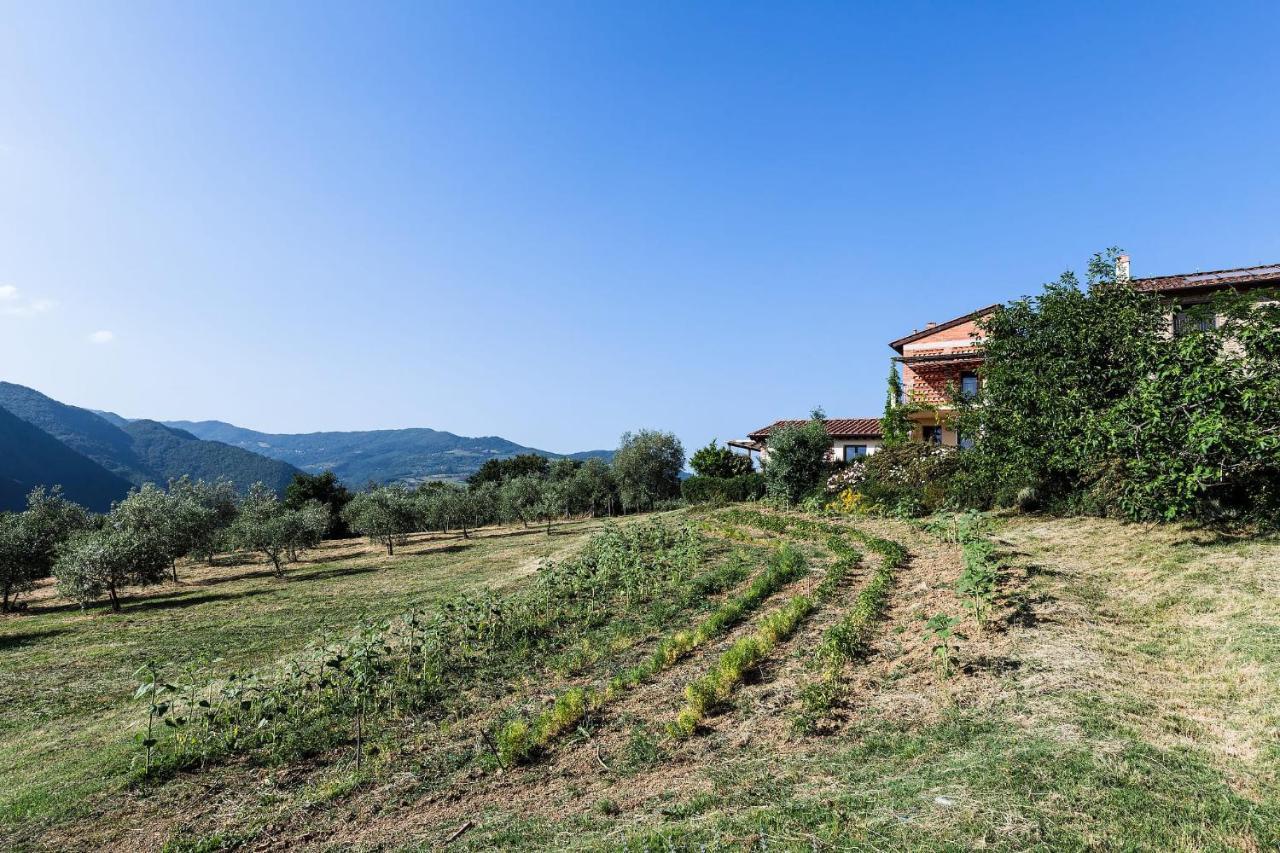 Agriturismo La Fontaccia Rufina Eksteriør bilde