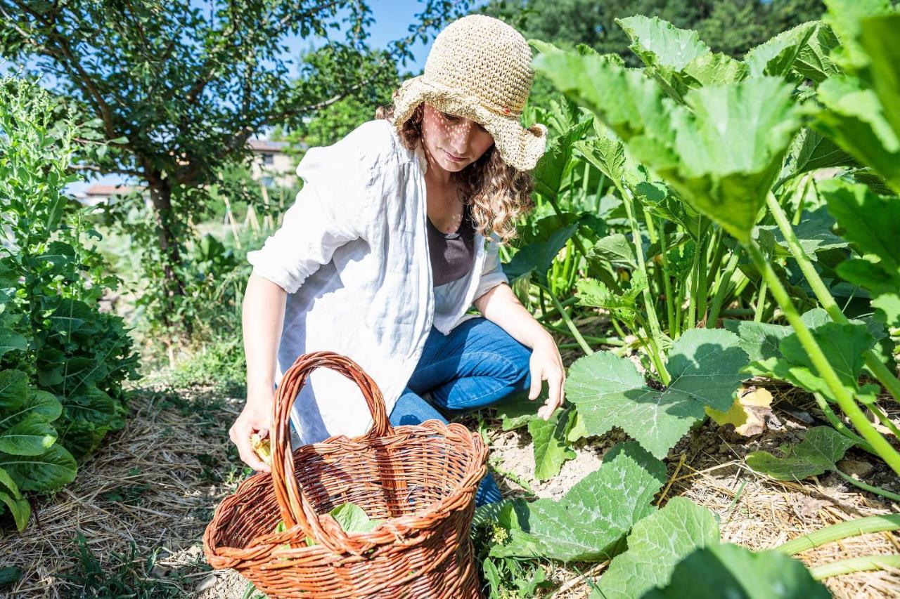 Agriturismo La Fontaccia Rufina Eksteriør bilde