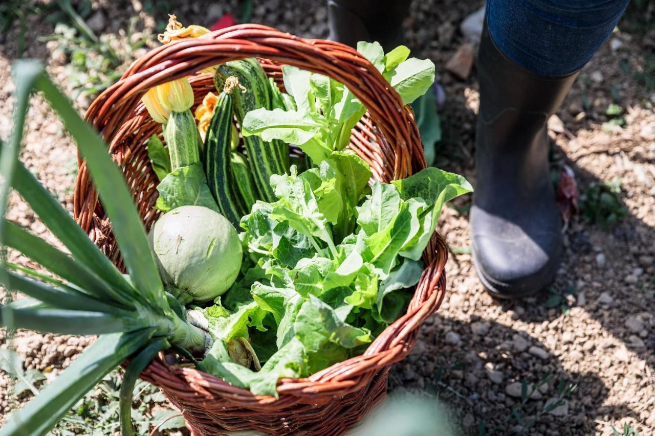 Agriturismo La Fontaccia Rufina Eksteriør bilde