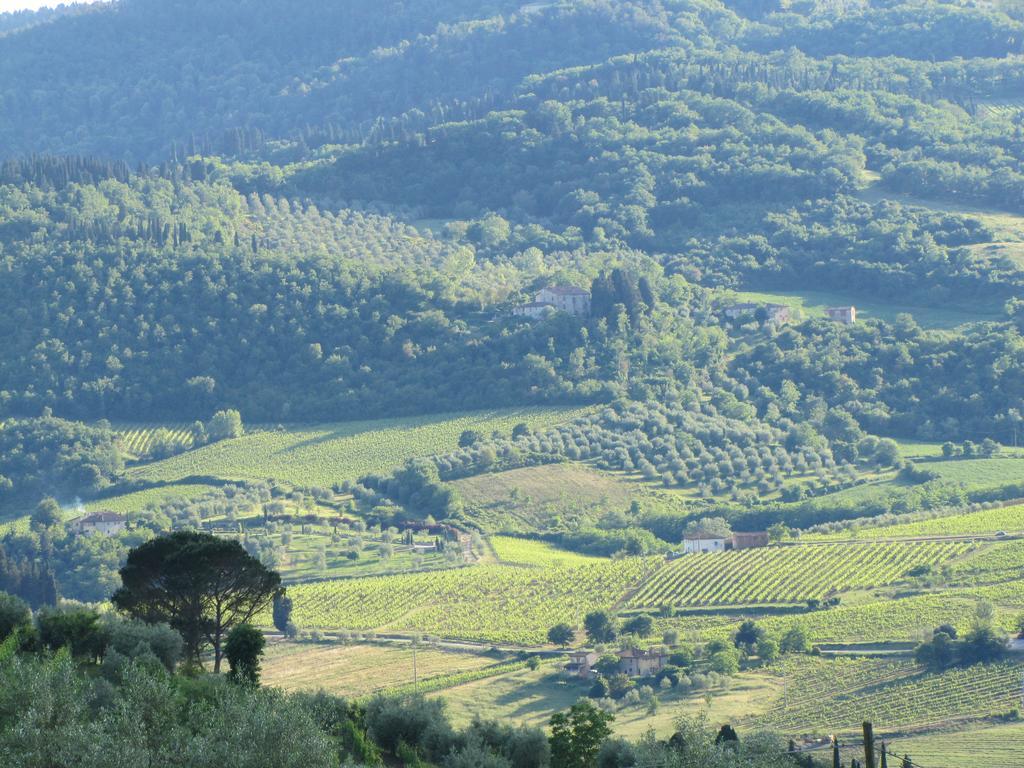 Agriturismo La Fontaccia Rufina Eksteriør bilde