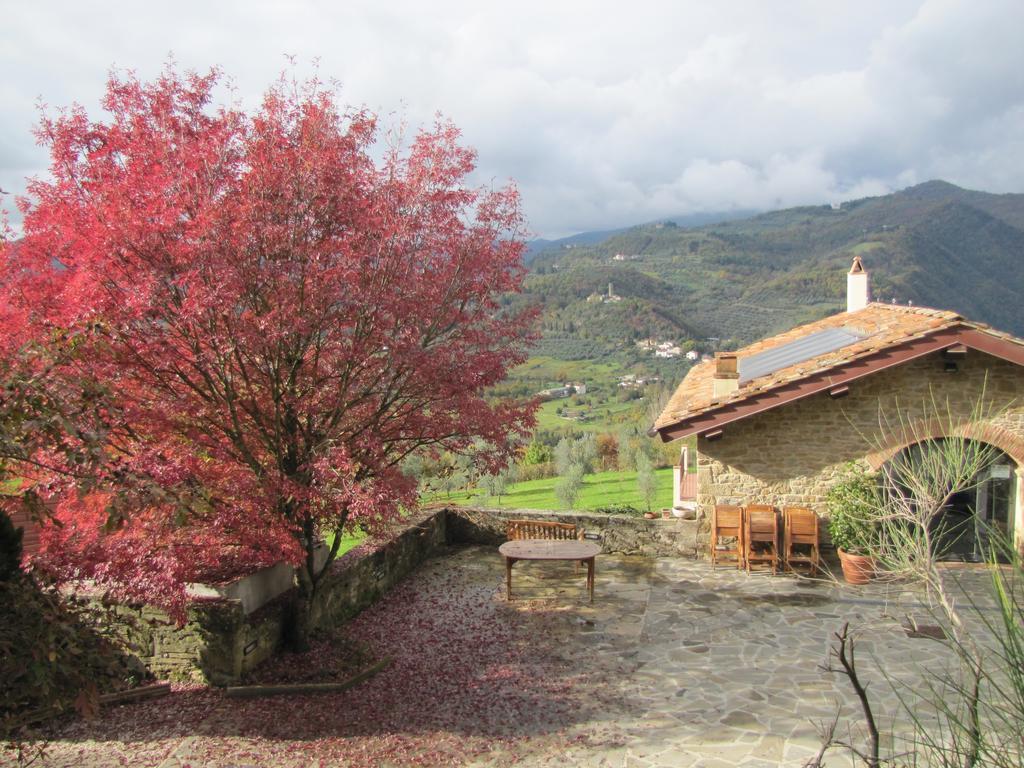 Agriturismo La Fontaccia Rufina Eksteriør bilde