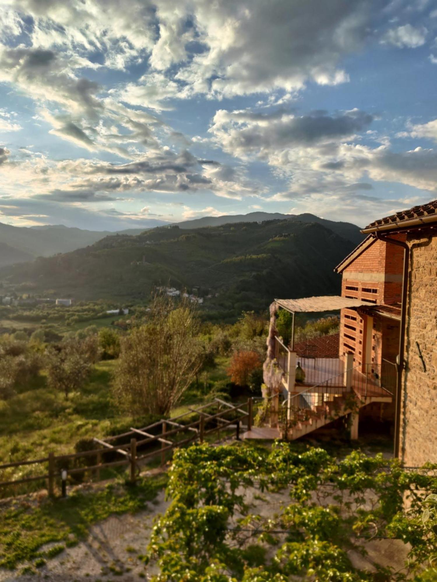 Agriturismo La Fontaccia Rufina Eksteriør bilde