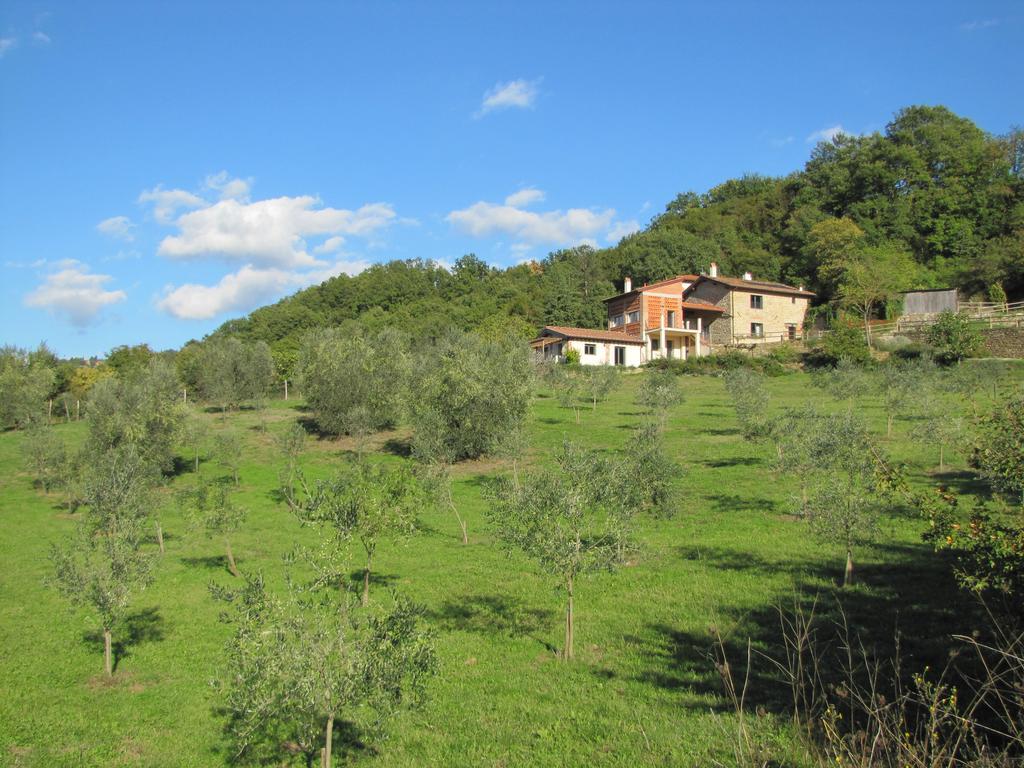 Agriturismo La Fontaccia Rufina Eksteriør bilde