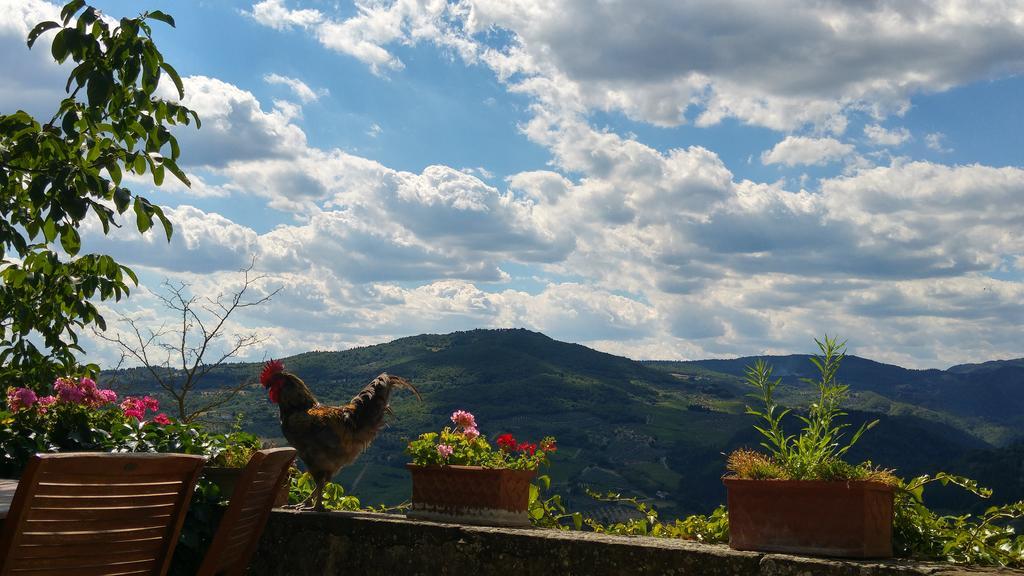 Agriturismo La Fontaccia Rufina Eksteriør bilde