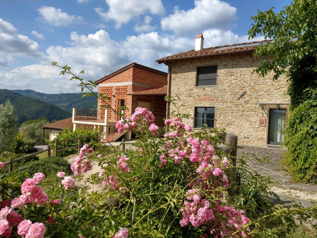 Agriturismo La Fontaccia Rufina Eksteriør bilde